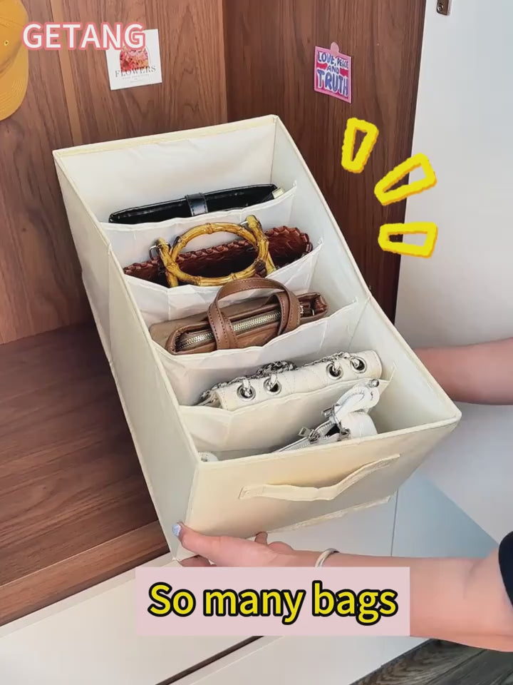 Space-Saving Bag-in-Bag Storage Bag, Dustproof Wardrobe Organizer Divider for Tote Bags & Backpacks